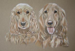 cocker spaniels double portrait - Winnie and Poppy