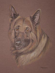 german shepherd dpg Sharka