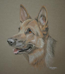 german shepherd dog Kiah