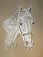 white horse - Tilly Mint