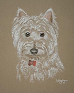 west highland terrier - Benji