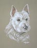 whisky - westie