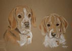 beagle and beagle pup - wellington and boots