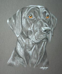 Black Lab Tart