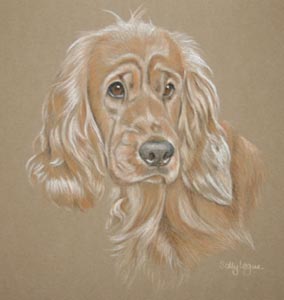 cocker_spaniel_ Holly