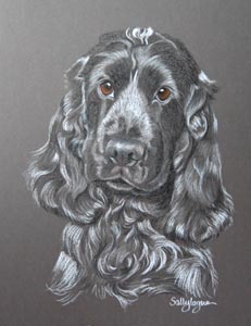 cocker_spaniel_lily