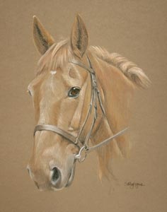  horse portrait - Oscar