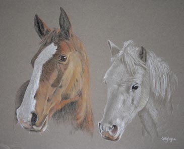 double horse portraits