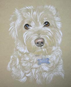 westie - Sally