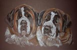 st bernards - portrait of Harry and Huggy