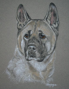 pastel portrait of Akita, Tara