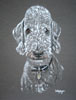 pastel portrait of bedlington terrier - Theakston