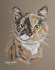 pastel portrait of tortoise shell cat - tizzy