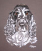 pastel portrait of blue roan coker spaniel - Skye