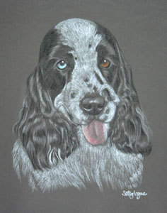 pastel portrait of Sukie - cocker spaniel