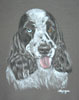 black and white cocker spaniel portrait - Suki