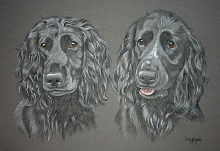 Cocker spaniels in pastel - Willow and Bracken