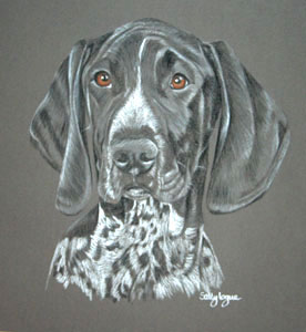 pastel portrait of german short haired pointer ''Jinks' 