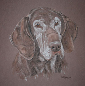 pastel portrait of gsh pointer - Leah