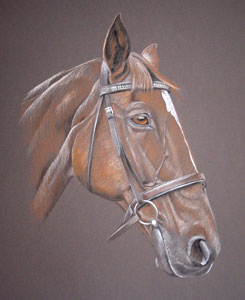 pastel portrait of Paddy - full hunter