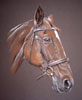 pastel portrait of full hunter - paddy