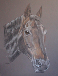 pastel portrait of bay horse Wesley