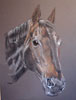 pastel portrait of bay horse