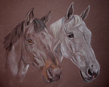 double horse portrait - Louie and Lola