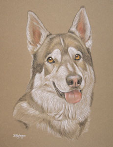 pastel portrait of Bru - Northern Inuit