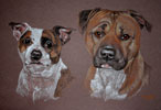 pastel portrait of staffie and boxer cross - Caz and Daz