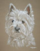 westie portrait - mia