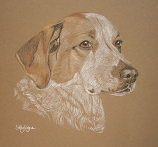 commissioned portrait of Henry - Basset jack russel cross