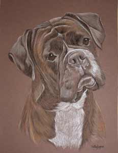 pastel portrait of Ali - Boxer Dog