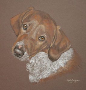 pastel portrait of Cross breed - Farley