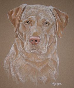 George's portrait - golden Lab 