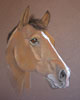 Secret chestnut mare portrait