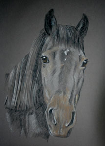 pastel portrait of black pony - Sindy