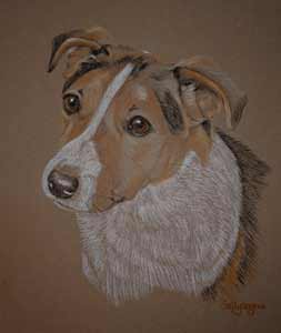 pastel portrait of Jack Russell - Berwick