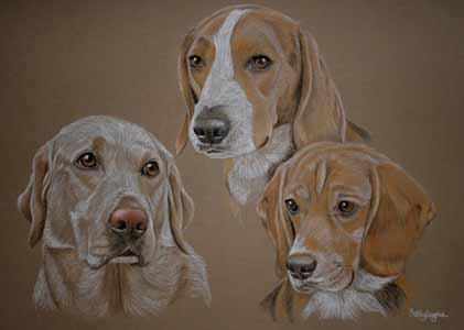 pastel portrait of lab and 2 beagles - louis, frank and Henry