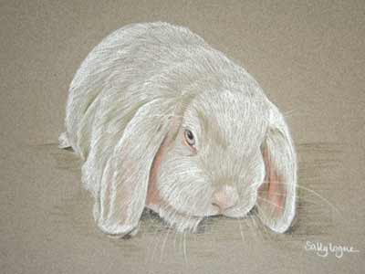 white rabbit portrait - Jessica