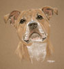 commissioned staffie portrait - marnie