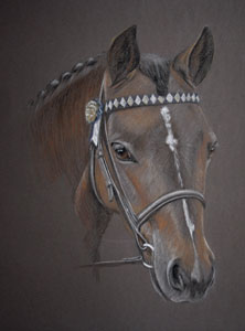 Welsh Show Pony in pastel - Tina's portrait