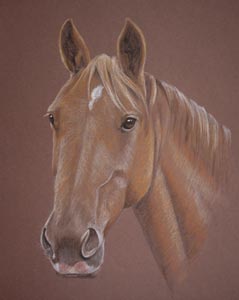 retired pacingmare from New Zealand, Relentless Lady
