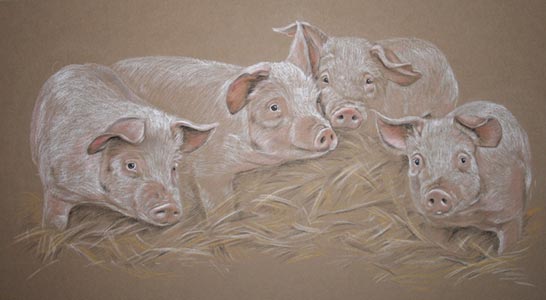 pastel portrait of four pigs in straw
