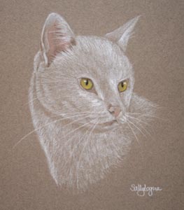 pastel portarit of white cat - Snowy