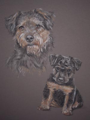 pastel portrait of Fudgie as an adult  dog and pup