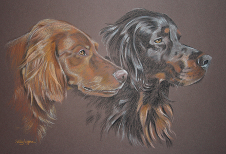 Chilli and Diesel - red setter and gordon setter portrait