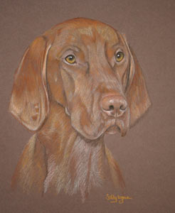 pastel portrait of Kaiser_ hungarian vizsla