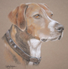 hamilton hound portrait