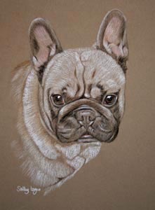 pastel portrait of French Bulldog - Kimchi